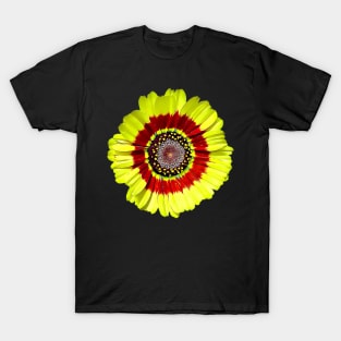 Tricolour Chrysanthemum Ismelia Carinata Painted Style Pattern T-Shirt